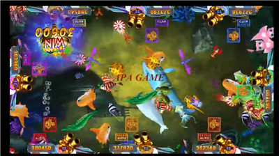 Vgame Golden Dragon King Skilled Fish Game Table Fishing Hunter  Shooting Fish Game Software