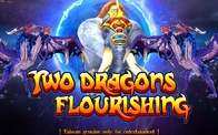 Two Dragon Flourishing Hot Coin Pusher Fishing Shooting Game Board Fish Hunter Game Table Casino Machine For Playing