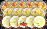 Fire Phoenix 2021 Video Fishing Game Coin Operated Arcade Fish Shooting Games Software Mother Board Kits For Casino