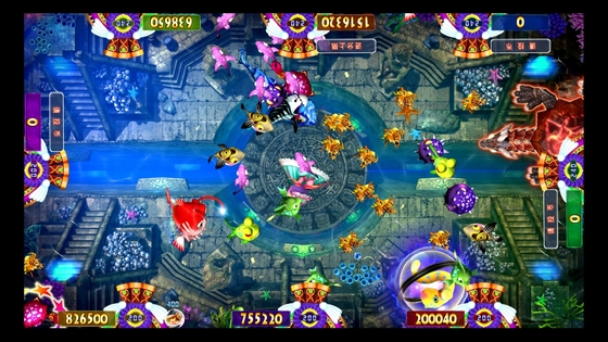 Newest 3/4/6/8/10 Players Fish Games Vgame Fishing Beauty Mother Board  Machine Software Kits For Sale