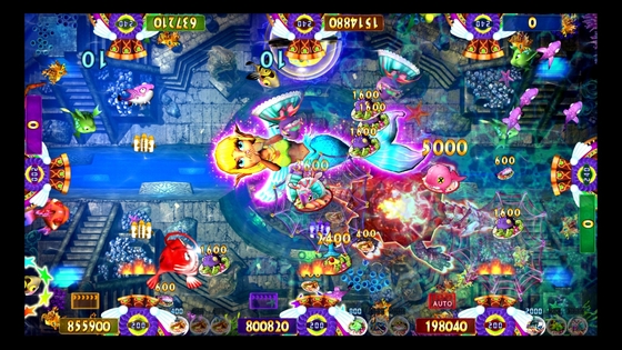 Newest 3/4/6/8/10 Players Fish Games Vgame Fishing Beauty Mother Board  Machine Software Kits For Sale
